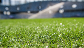 Artificial Grass Garden